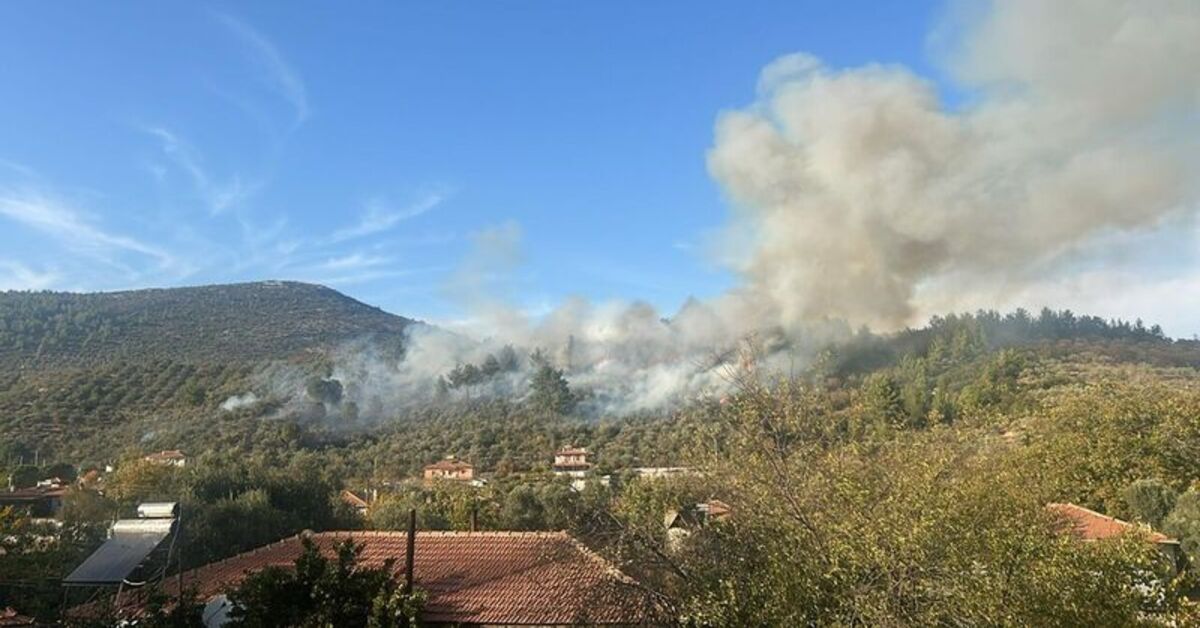 Muğla’da ormanlık alanda yangın!